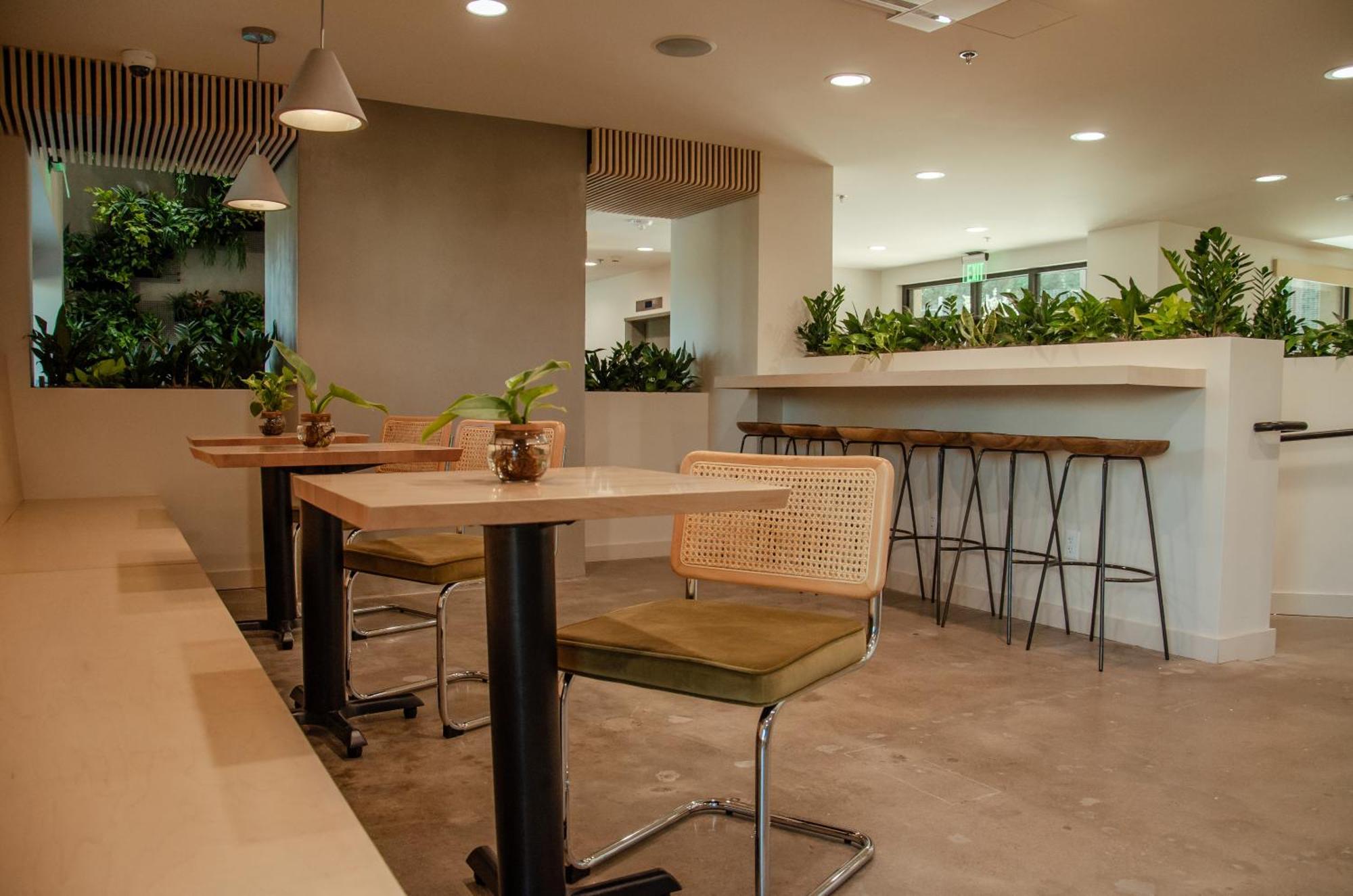 Brut Hotel Tulsa Kültér fotó